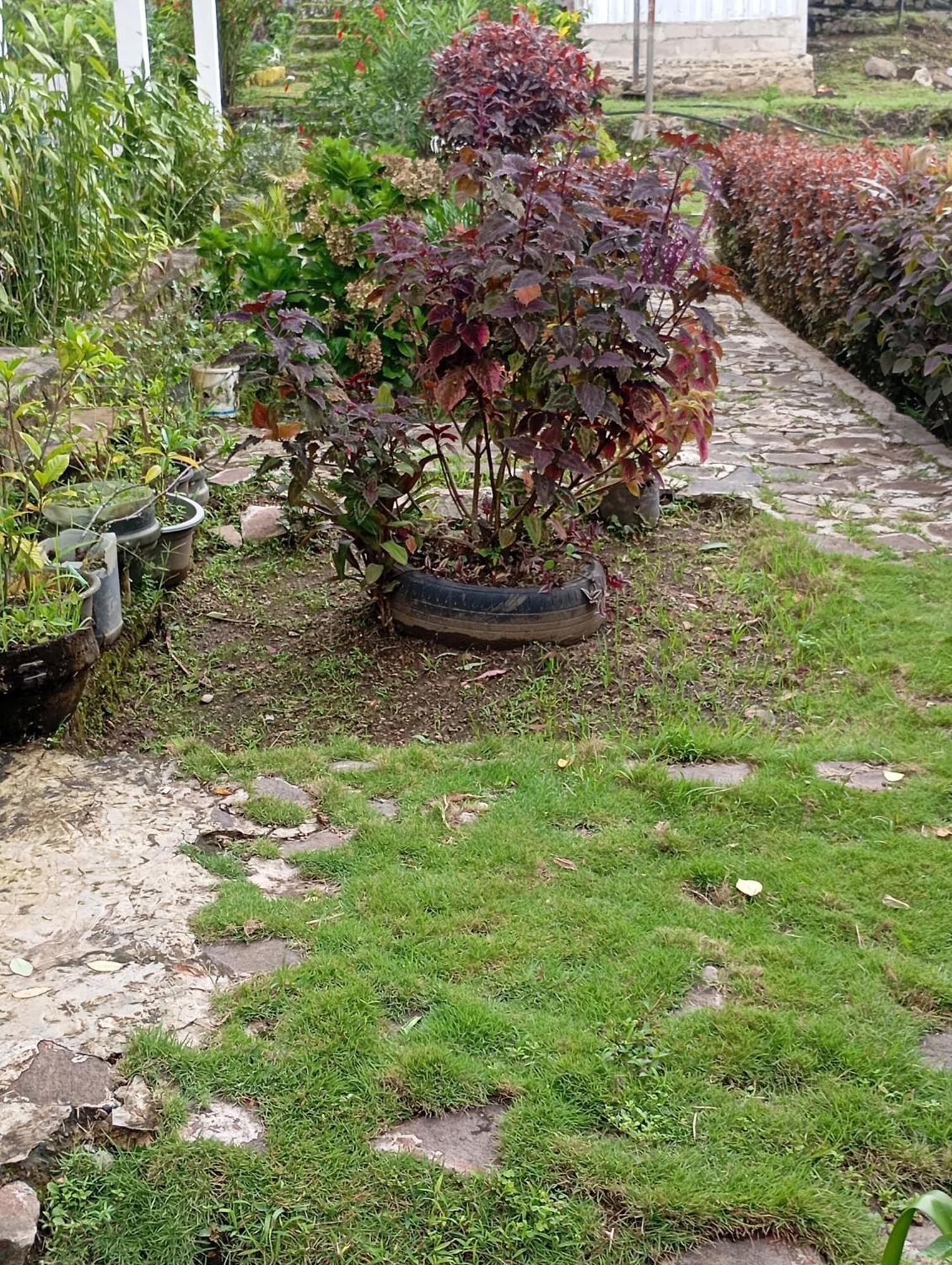 Hidayah Homestay Kelimutu Extérieur photo